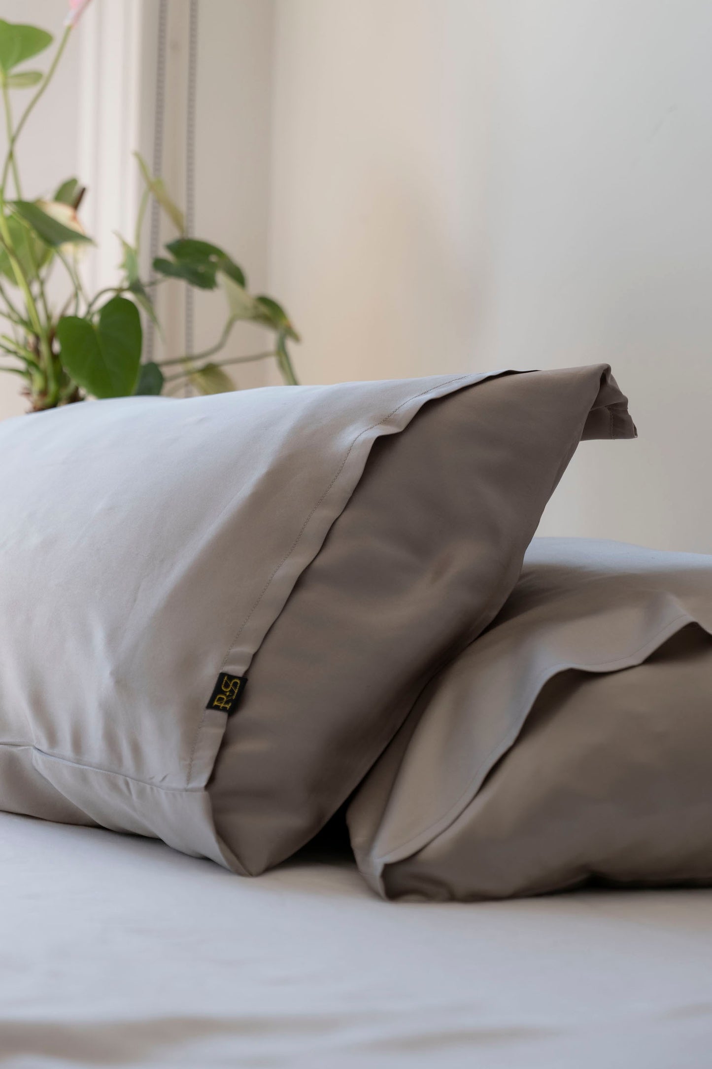 The Oyster Pillowcase Pair